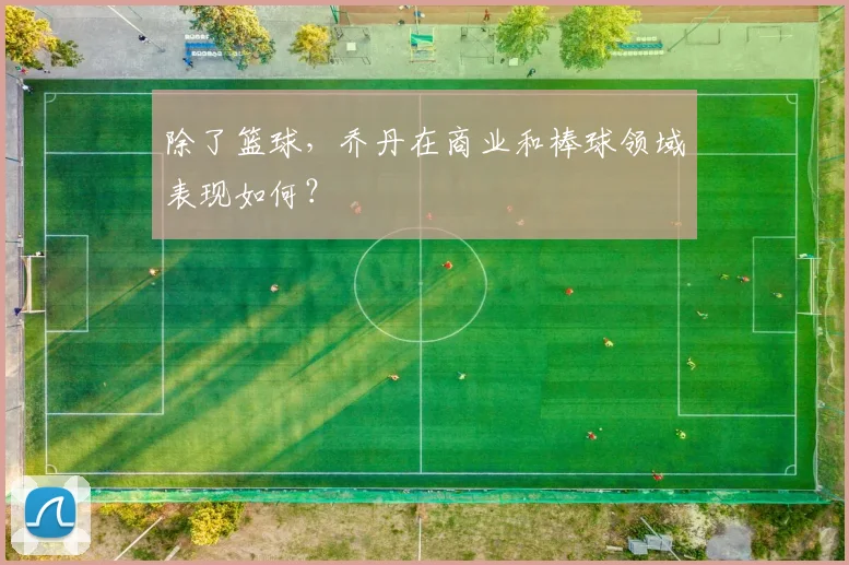 除了篮球,乔丹在商业和棒球领域表现如何?