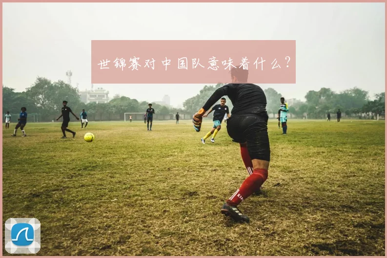 世锦赛对中国队意味着什么?