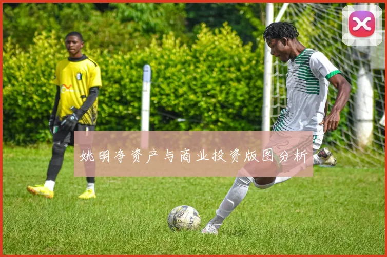 姚明净资产与商业投资版图分析